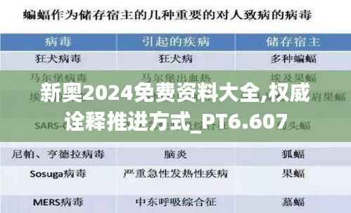新奥2024免费资料大全,权威诠释推进方式_PT6.607