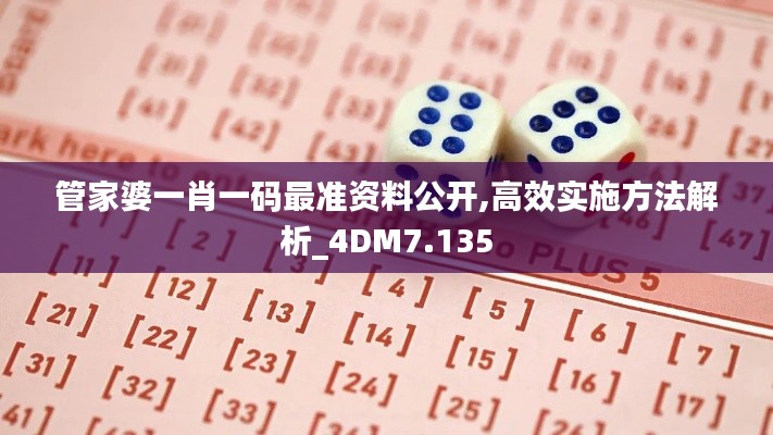 管家婆一肖一码最准资料公开,高效实施方法解析_4DM7.135
