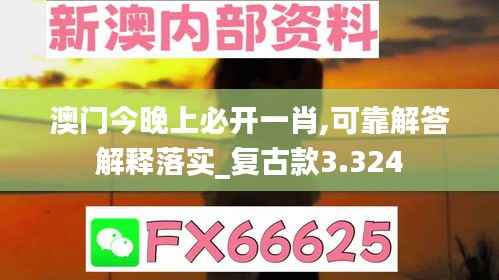 澳门今晚上必开一肖,可靠解答解释落实_复古款3.324
