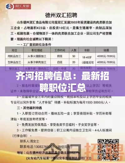 齐河招聘信息：最新招聘职位汇总