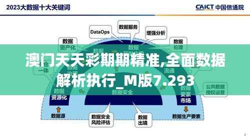 澳门天天彩期期精准,全面数据解析执行_M版7.293