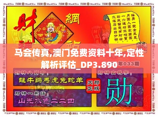 马会传真,澳门免费资料十年,定性解析评估_DP3.890
