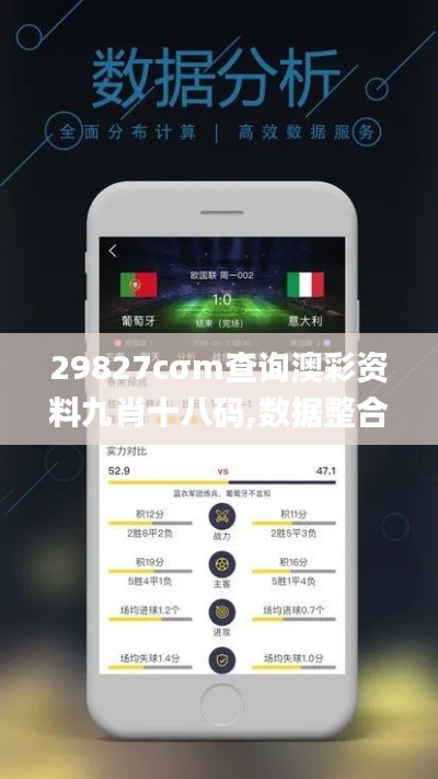 29827cσm查询澳彩资料九肖十八码,数据整合策略分析_Nexus9.984