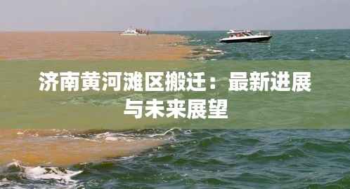 济南黄河滩区搬迁:最新进展与未来展望