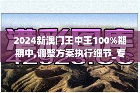 2024新澳门王中王100%期期中,调整方案执行细节_专属款15.342