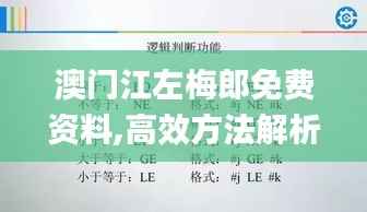 澳门江左梅郎免费资料,高效方法解析_策略版2.693