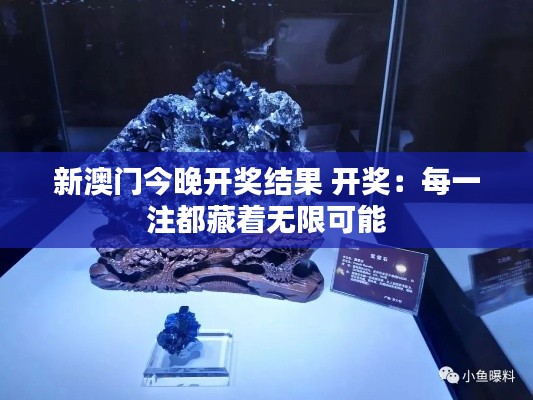 新澳门今晚开奖结果 开奖：每一注都藏着无限可能