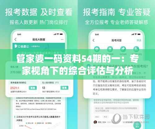 管家婆一码资料54期的一：专家视角下的综合评估与分析