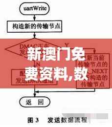 新澳门免费资料,数据驱动策略设计_VIP8.295