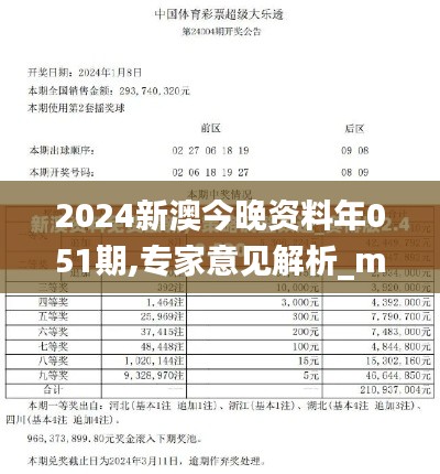 2024新澳今晚资料年051期,专家意见解析_macOS4.797