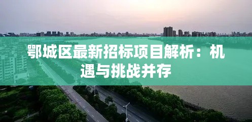 鄂城区最新招标项目解析：机遇与挑战并存