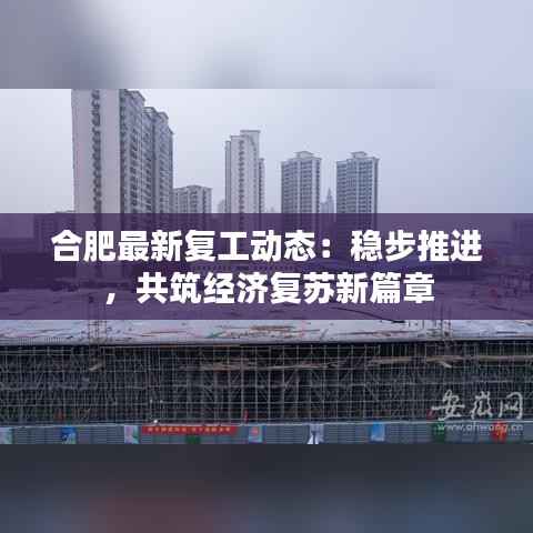 合肥最新复工动态：稳步推进，共筑经济复苏新篇章