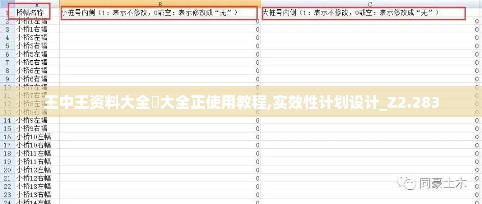 王中王资料大全枓大全正使用教程,实效性计划设计_Z2.283