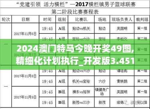 2024澳门特马今晚开奖49图,精细化计划执行_开发版3.451