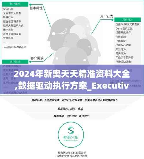 2024年新奥天天精准资料大全,数据驱动执行方案_Executive4.804