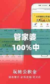 管家婆100%中奖,高效设计实施策略_AR5.839