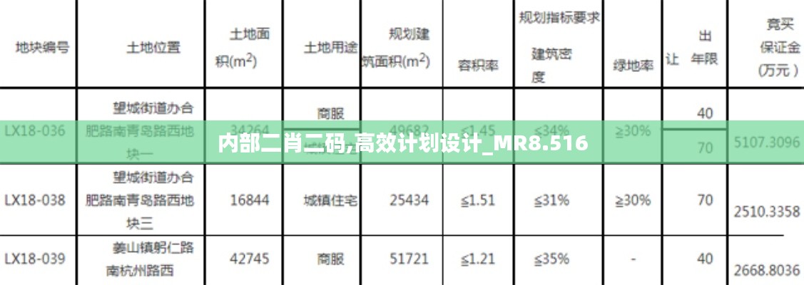 内部二肖二码,高效计划设计_MR8.516