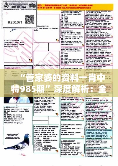 “管家婆的资料一肖中特985期”深度解析：全方位透析独特性