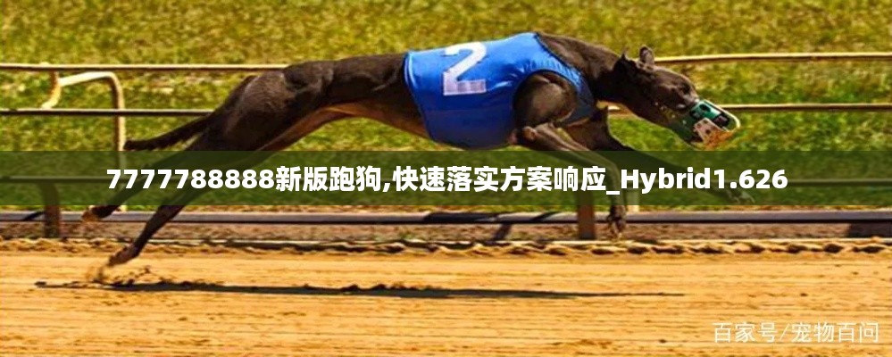 艰苦卓绝 第6页