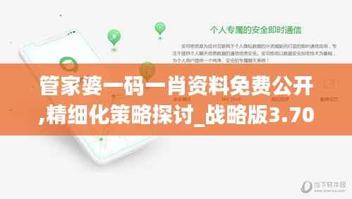 管家婆一码一肖资料免费公开,精细化策略探讨_战略版3.700