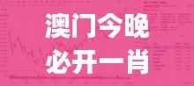 澳门今晚必开一肖一特,实地验证数据策略_旗舰款9.108