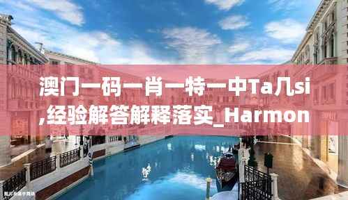 澳门一码一肖一特一中Ta几si,经验解答解释落实_HarmonyOS9.646