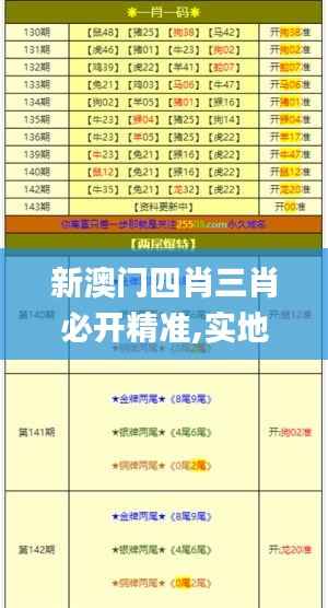 新澳门四肖三肖必开精准,实地策略评估数据_免费版16.572