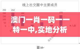 澳门一肖一码一一特一中,实地分析数据应用_OP3.463