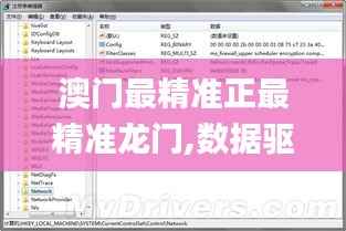 澳门最精准正最精准龙门,数据驱动计划_Windows17.559