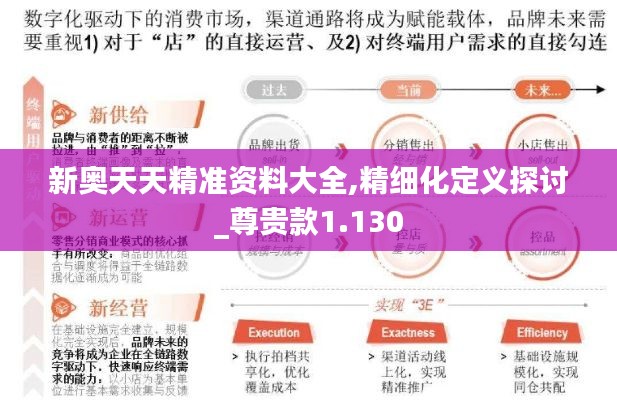 新奥天天精准资料大全,精细化定义探讨_尊贵款1.130