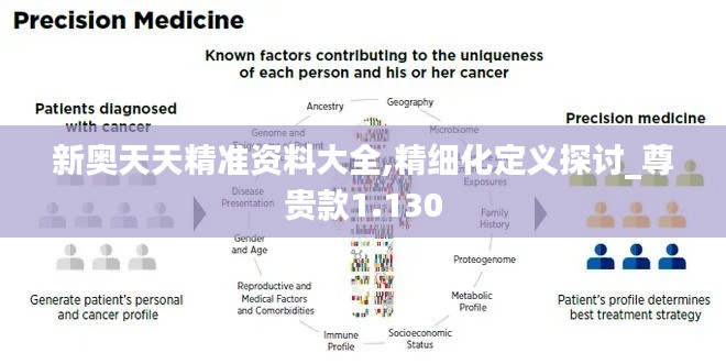 新奥天天精准资料大全,精细化定义探讨_尊贵款1.130