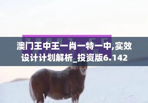 澳门王中王一肖一特一中,实效设计计划解析_投资版6.142