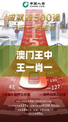 澳门王中王一肖一特一中,实效设计计划解析_投资版6.142