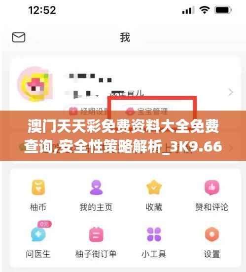 澳门天天彩免费资料大全免费查询,安全性策略解析_3K9.669