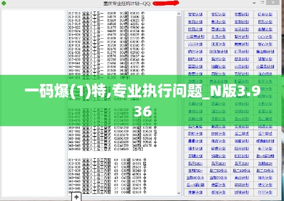 一码爆(1)特,专业执行问题_N版3.936