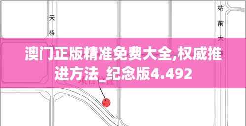 澳门正版精准免费大全,权威推进方法_纪念版4.492