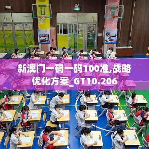 新澳门一码一码100准,战略优化方案_GT10.206