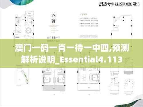 澳门一码一肖一待一中四,预测解析说明_Essential4.113