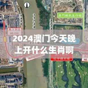 2024澳门今天晚上开什么生肖啊,实地执行数据分析_扩展版6.285