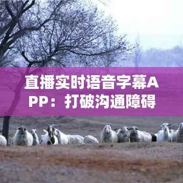 直播实时语音字幕APP：打破沟通障碍，让世界无界限