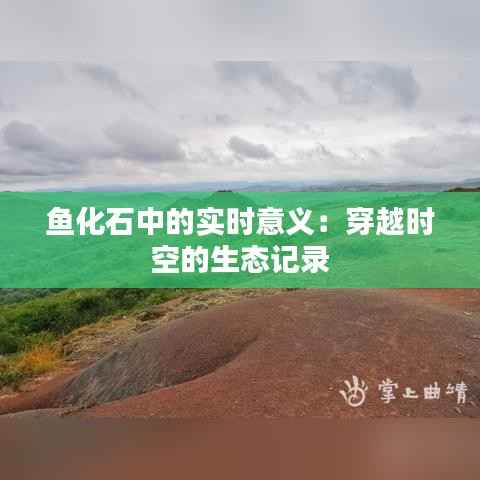 鱼化石中的实时意义:穿越时空的生态记录
