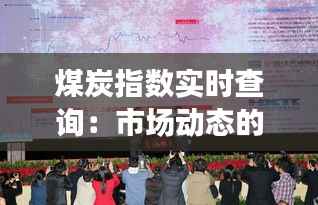 煤炭指数实时查询：市场动态的晴雨表