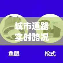 城市道路实时路况摄像头：智慧交通的未来守护者
