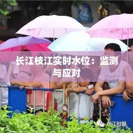 长江枝江实时水位：监测与应对