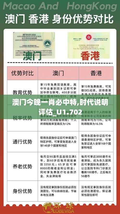 澳门今晚一肖必中特,时代说明评估_U1.702