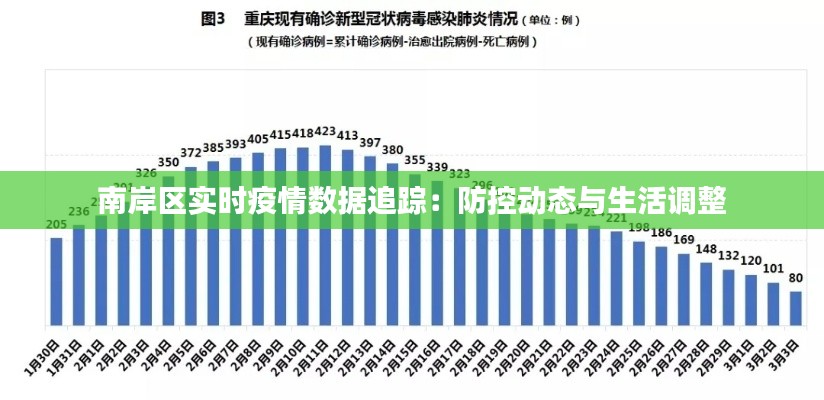 南岸区实时疫情数据追踪:防控动态与生活调整