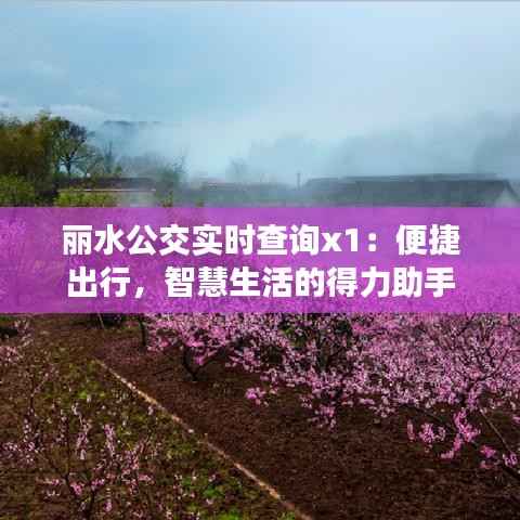 丽水公交实时查询x1：便捷出行，智慧生活的得力助手