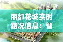 丽都花城实时路况信息:智慧出行,畅行无忧