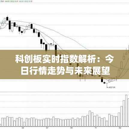 科创板实时指数解析：今日行情走势与未来展望