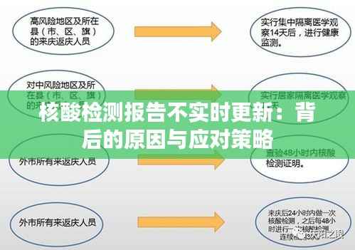 核酸检测报告不实时更新：背后的原因与应对策略